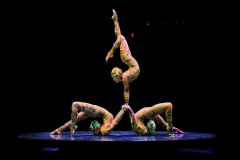 04_Contorsion_0969
