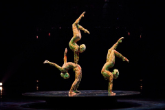 04_Contorsion_0994