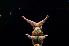 04_Contorsion_1059